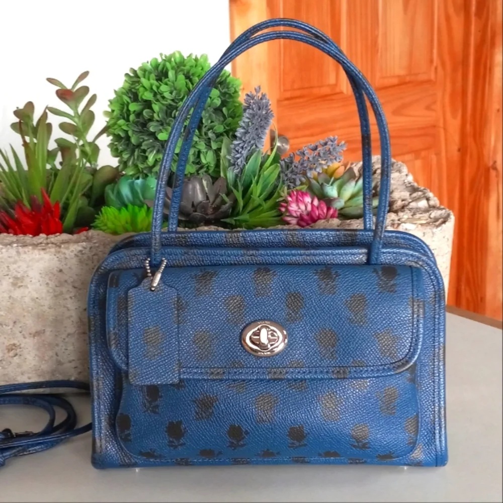 Coach Cady, Badlands Print on Crossgrain Leather, LE, Rare!!!